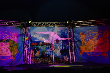 Дельфінарій