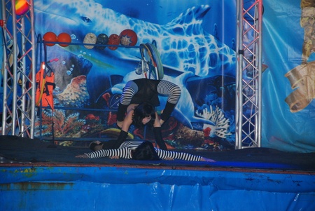 Дельфінарій