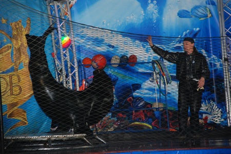 Дельфінарій