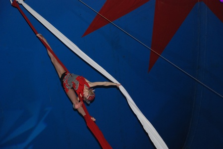 Дельфінарій