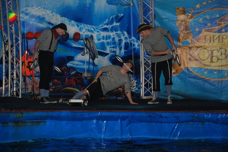 Дельфінарій